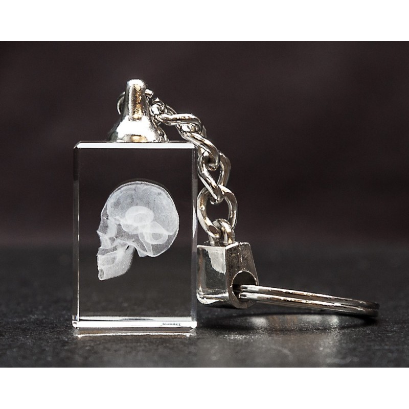 Skull and Brain Crystal Key Chain