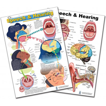 Speech and Hearing Chart, Speech therapist material