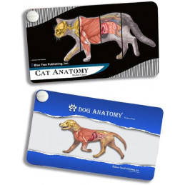 Dog and Cat Set, Veterinary Anatomy Pocket Charts, Anatomy & Veterinary
