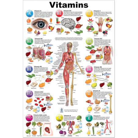 Vitamins Regular Poster