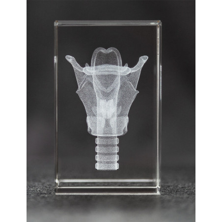 Larynx 3D Laser Crystal  Gift for Singers, Speech-Language Pathologists and ENT