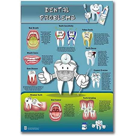 Dental Problems Regular Poster