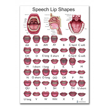 Speech Lip Shapes Regular Poster