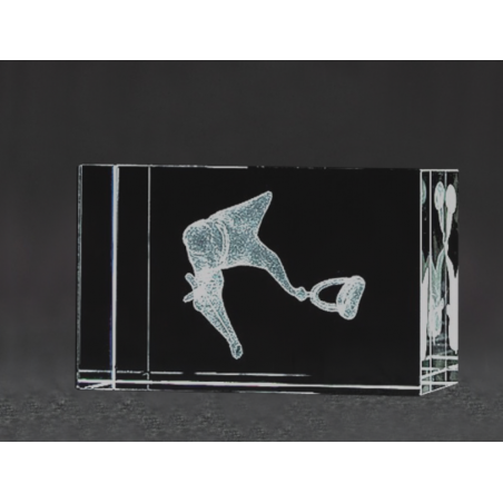 Ossicular Chain 3D Laser Medium Crystal, Anatomy, Bone, Malus, Incus, Stapes, Middle Ear