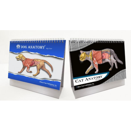 Dog and Cat Veterinary Anatomy Flip Charts, Anatomy & Veterinary Physiology Feline Canine
