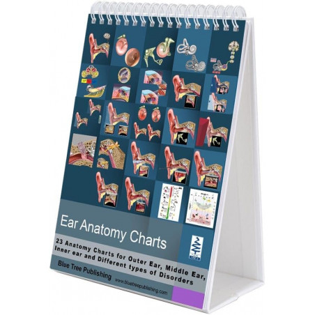 Ear Anatomy Desktop Charts For AUD, Audiologist, Hearing Centers and Classroom material for Education