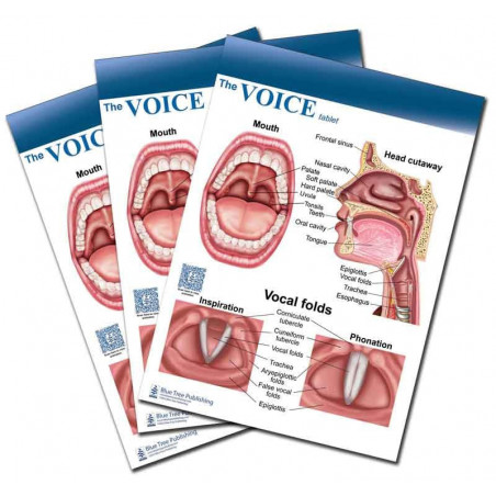 Voice and Larynx Tear Off Pads-50 Sheets Per Tablet-3 Pads