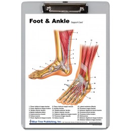Foot and Ankle Dry Erase Clipboard front