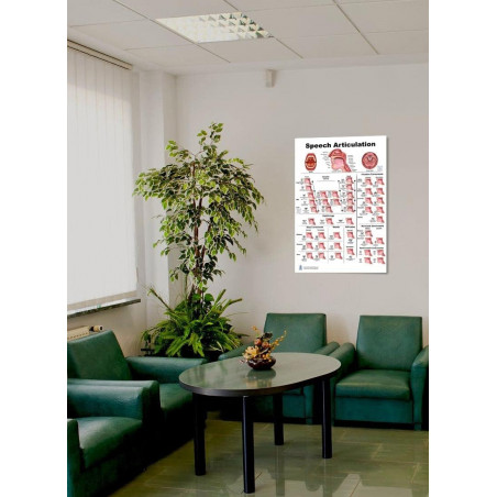 Speech Articulation Large Poster