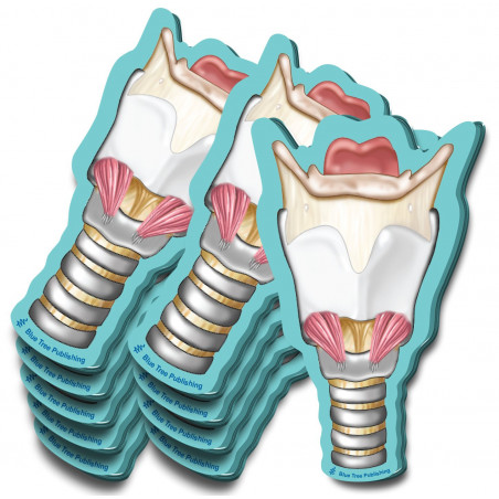 Larynx Sticky Notes 10 Pack
