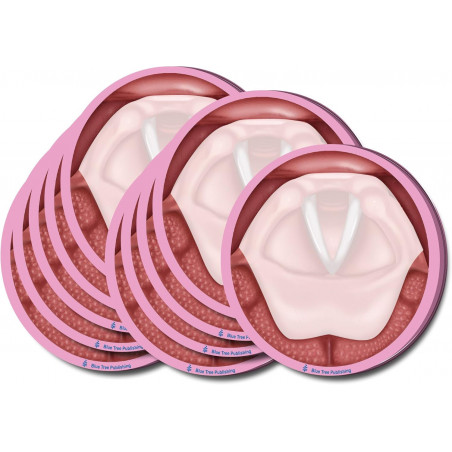 Vocal Folds Sticky Notes 10 Pack
