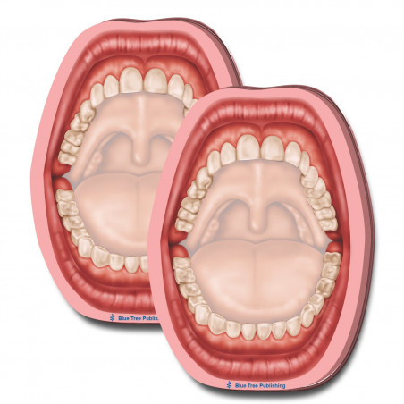 Open Mouth Sticky Notes 2 Pack