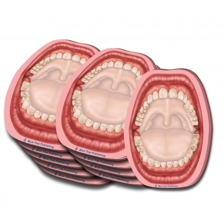 Open Mouth Sticky Notes 10 Pack