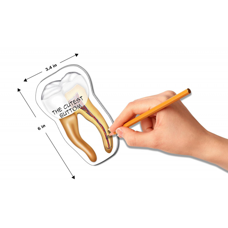 Tooth Sticky Notes 2 Pack