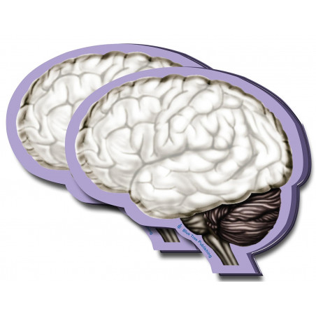 Brain Sticky Notes 2 Pack