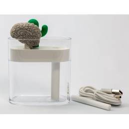 Brain and Cactus Humidifier Set