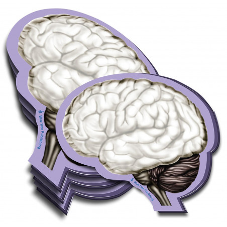 Brain Sticky Notes 4 Pack