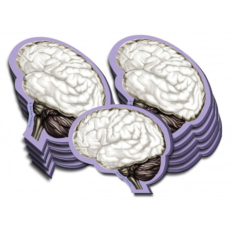 Brain Sticky Notes 10 Pack