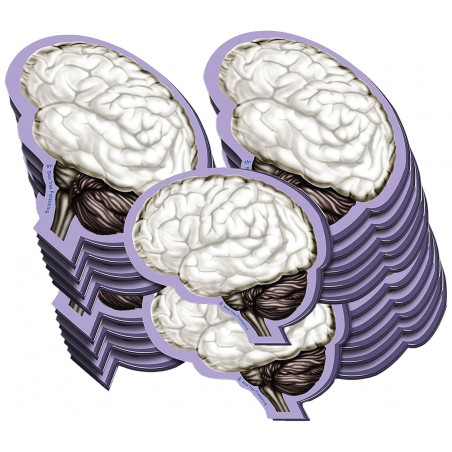 Brain Sticky Notes 20 Pack