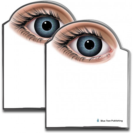 Eye Sticky Notes 2 Pack