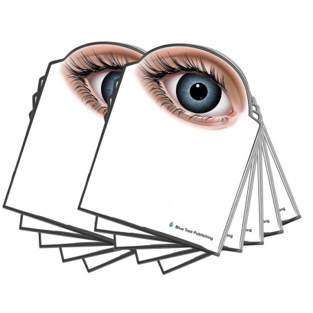 Eye Sticky Notes 10 Pack