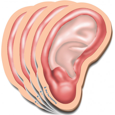 Outer Ear Sticky Notes 4 Pack