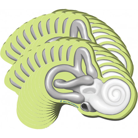 Cochlea Sticky Notes 20 Pack
