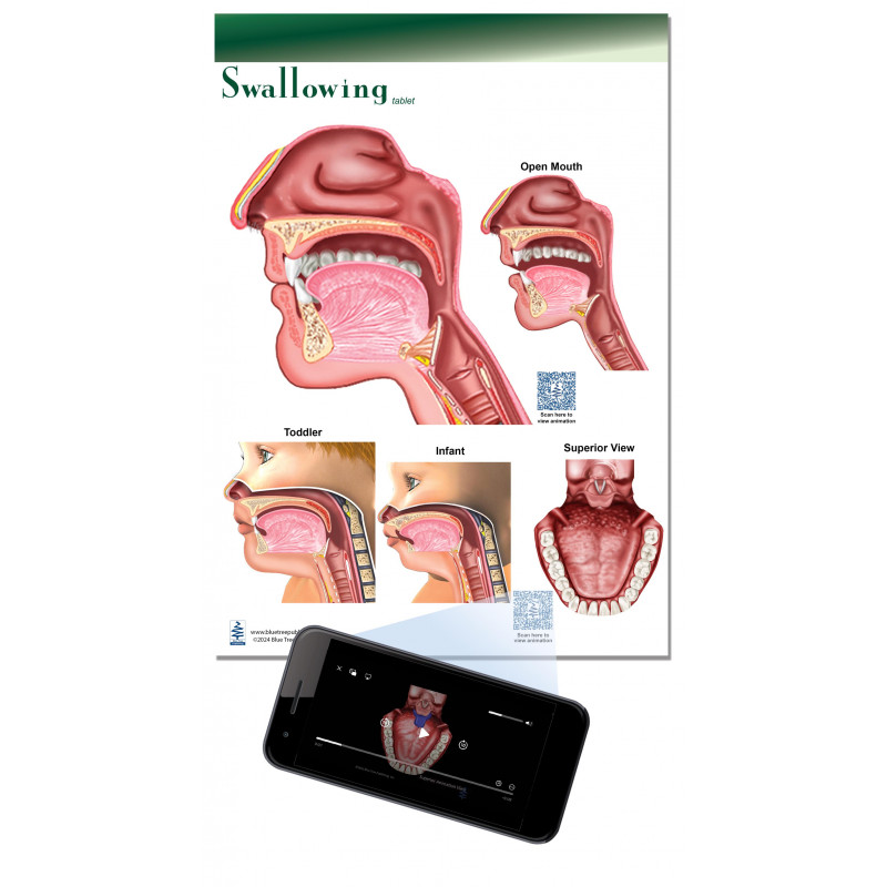 Swallowing Tablet-3 Tablet