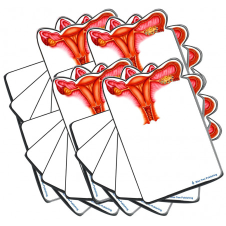Uterus Sticky Notes 20 Pack