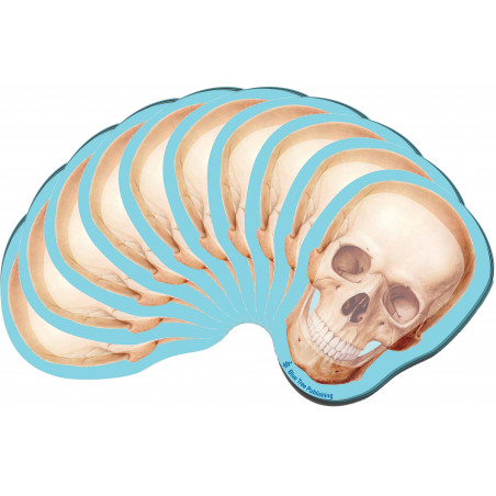 Skull Sticky Notes 10 Pack