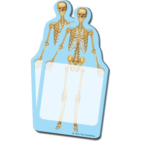 Skeleton Sticky Notes 2 Pack