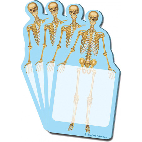 Skeleton Sticky Notes 4 Pack