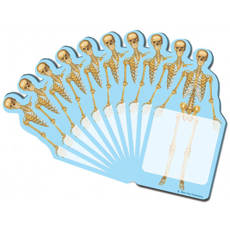 Skeleton Sticky Notes 10 Pack