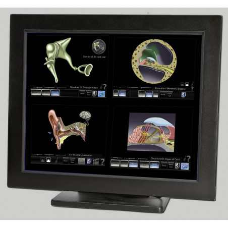 Hearing 6 App Desktop Software