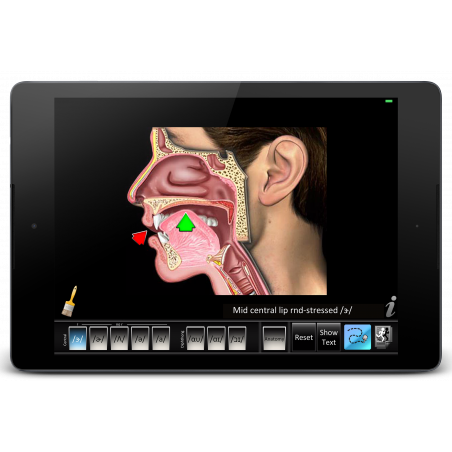 Speech Articulation Central Diphthong App