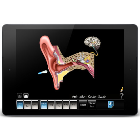 Ear Disorder Outer Middle App