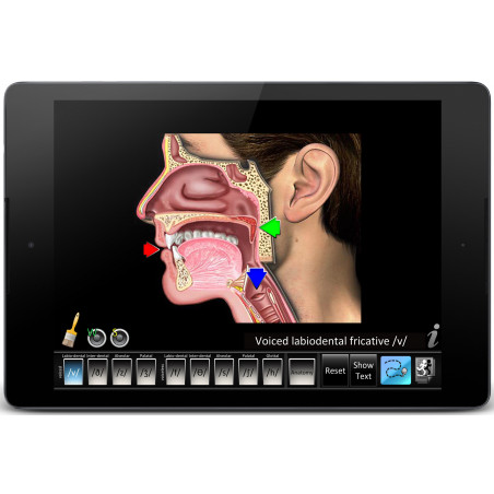 Speech Articulation Fricatives App