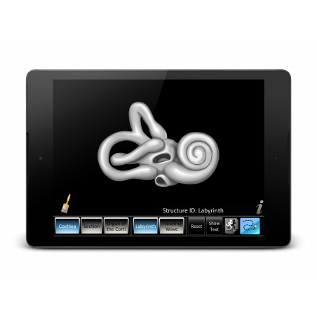 Inner Ear ID App