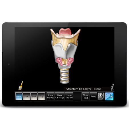 Larynx ID App