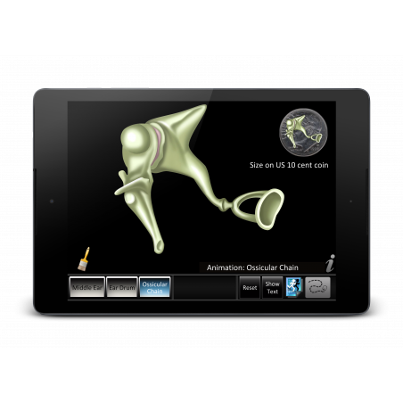 Middle Ear ID App