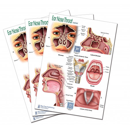 Ear Nose Throat  ENT Tablet-3 Tablet