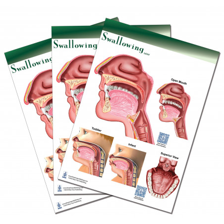 Swallowing Tablet-3 Tablet