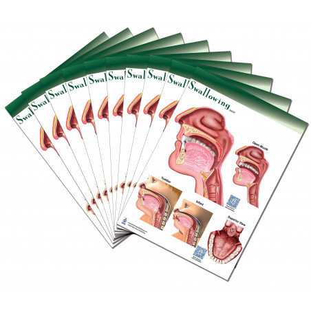 Swallowing Tablet-10 Tablet