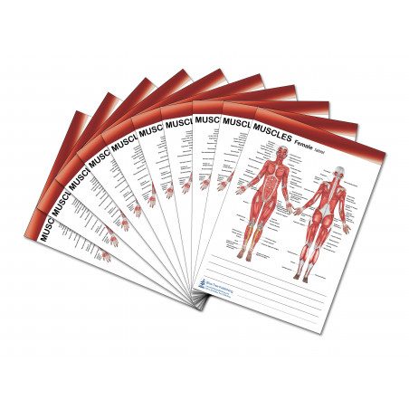 Muscle Tablet for Female and Male 3 Pack