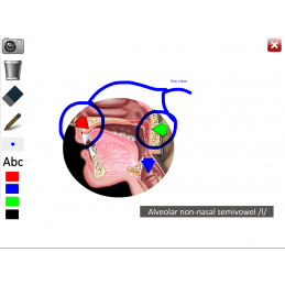 Speech Articulation: Semivowels App