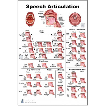 Speech Articulation Medium Poster