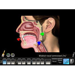 Speech Articulation: Semivowels App