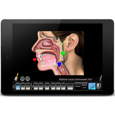 Speech Articulation: Semivowels App