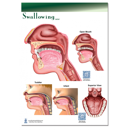 Swallowing Tablet-1 Tablet