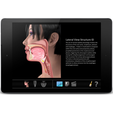 Swallow ID App